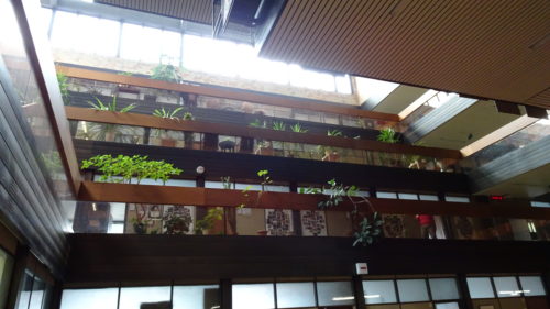 The tiered hall with multiple floors is decorated by abundant interior greenery