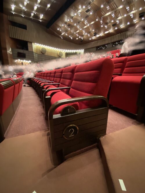 In 2015, the seats in the drama hall were reupholstered with high quality Italian damask fabric imitating the original pattern 