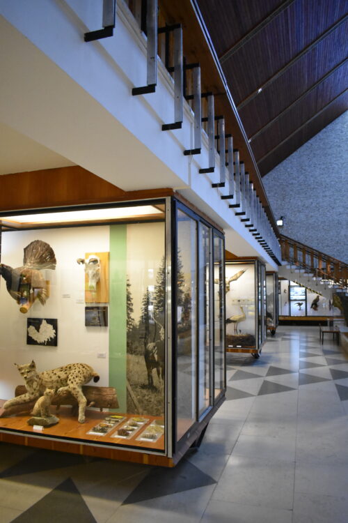 Expozičná hala – výstavná časť je koncipovaná ako jeden celok s fixnými a variantne premiestniteľnými vitrínami oddeľujúcimi tematické časti expozície