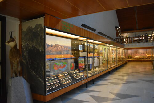 Expozičná hala – v roku 2003 boli výstavné vitríny doplnené o zasklené plochy