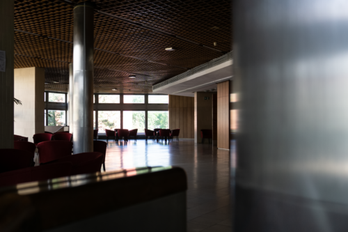 Akcentujúcimi súčasťami interiérov foyerov sú subtílne pôsobiace, kovom obalené stĺpy